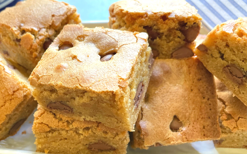 Milk Chocolate Chip Blondies